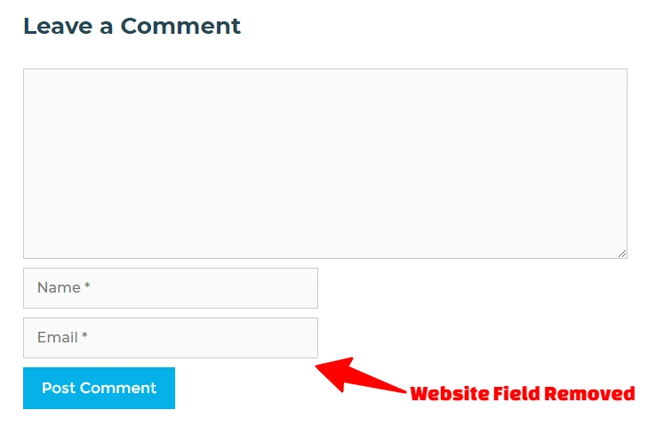 comment box without website url field