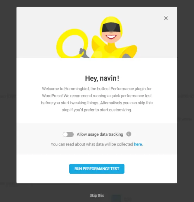 run initial performance test